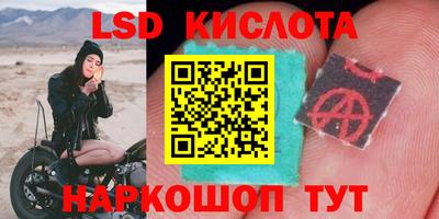стаф Рязань