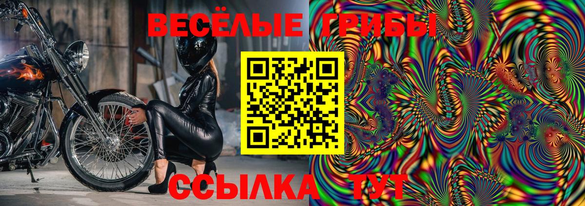 Новокубанск  Галлюциногенные грибы ЛСД  Вход с VPN  Псилоцибиновые грибы MAGIC MUSHROOMS 