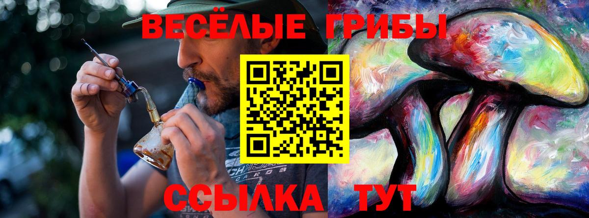 Псилоцибиновые грибы прущие грибы Новокубанск